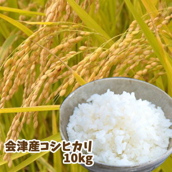 会津産コシヒカリ(10kg)　産地直送　同梱不可 お米