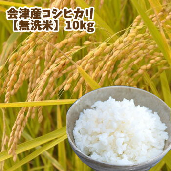 【送料無料】【令和5年産】【無洗米】会津産コシヒカリ(10kg)