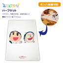 【ZZZTONハーフケット】ひざ掛け 膝掛け 赤ちゃん 保育園 幼稚園 ブランケット 洗える 日本製 オールシーズン 通気性 毛布 ダブル シングル タオルケッ...