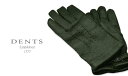 デンツ社公認販売店 DENTS 手袋 / デンツ手袋 PECCARY / ペッカリー ( 猪豚革 ) HUNTER / グリーン 15-1564H 【楽ギフ_包装】