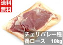 【送料無料】ハンガリー産 鴨肉 合鴨 ロース 10kg箱 フィレドカナール チェリバレー種 200-300サイズ 10kg 約38〜46枚 冷凍 鴨鍋 鴨南蛮...
