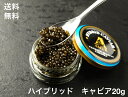 【送料無料】キャビア 　20g/瓶 　高級ハイブリッドキ...