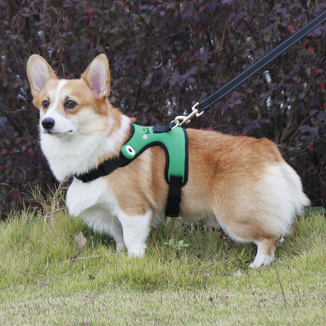 ドッグハーネスとリードセット　ひも ワンチャン用 小型犬用 犬のお散歩ハーネス かわいい ドッグ胴輪 おしゃれ 犬用首輪 ウェア ベスト型ハーネス フレンチ 犬リード ハーネスリード 散歩 犬のかわいいリード