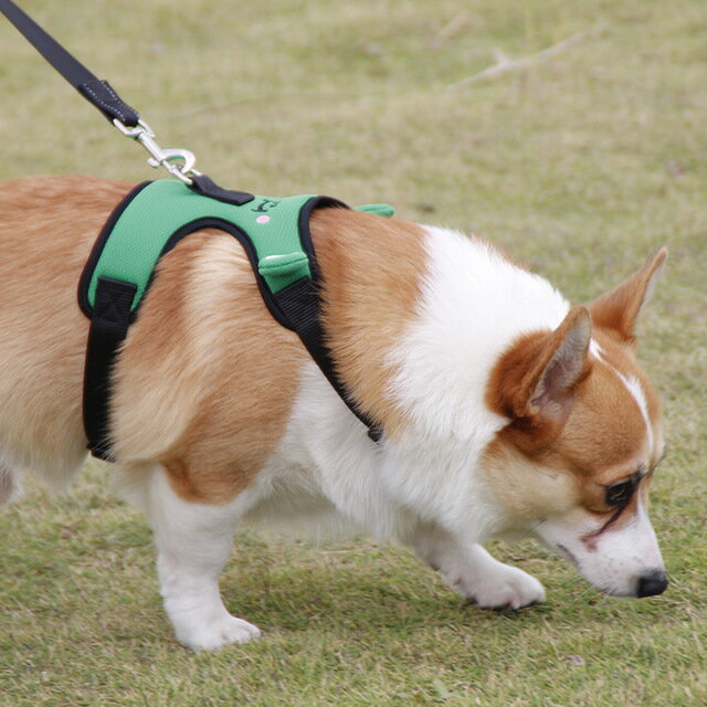 ドッグハーネスとリードセット　ひも ワンチャン用 小型犬用 犬のお散歩ハーネス かわいい ドッグ胴輪 おしゃれ 犬用首輪 ウェア ベスト型ハーネス フレンチ 犬リード ハーネスリード 散歩 犬のかわいいリード