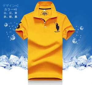 ݥ Polo ȾµT ȥåץ 奢  եå