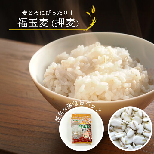 押麦 スタンドパック(使い切りスティックタイプ)ケース購入で1袋あたり約308円 国産大麦 選べる 容量 500g(50g×10袋) 5Kg(50g×10袋×10個)押し麦 麦ごはん 麦ご飯 おしむぎ 麦とろ 大麦βグルカン 簡単 水洗い不要 国産 国内産 無添加 個包装 家庭用 業務用 ケース 押麦 スタンドパック(使い切りスティックタイプ)ケース購入で1袋あたり約308円 国産大麦 選べる 容量 500g(50g×10袋) 5Kg(50g×10袋×10個)押し麦 麦ごはん 麦ご飯 おしむぎ 麦とろ 大麦βグルカン 簡単 水洗い不要 国産 国内産 無添加 個包装 家庭用 業務用 ケース