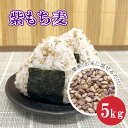 国内産 紫もち麦 ダイシモチ 紙袋1kgあたり約440円 もち麦 5kg 麦ごはん 麦ご飯 麦とろ もちもち ぷちぷち 簡単 水洗い不要 国産 雑穀 無添加 大...