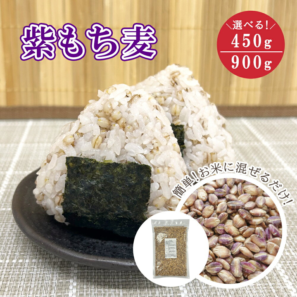 30%OFF 国内産 紫もち麦 ダイシモチ お試し 選べる 450g 900gもち麦 麦ごはん 麦ご ...