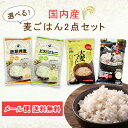【1000円ポッキリ】選べる!麦ごはん2点セット【送料無料 メール便】【日時指定不可・代引不可】 麦ごはん 麦ご飯 押し麦 押麦 もち麦 ビタバァレー ビタミン...
