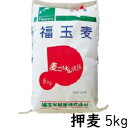 【業務用】福玉麦(押麦) 国産大麦 5kg