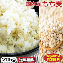 【送料無料】【ケース販売】食物繊維（ベータグルカン）が豊富なもち麦20kg