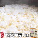 y [ցz艟 Y唞 1kg(500g~2)  Y ͂  唞OJ