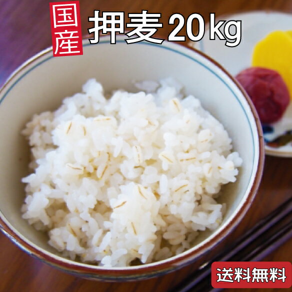 押麦 国産大麦 20kg 押し麦 麦ごはん 麦ご飯 おしむぎ 大麦βグルカン 大容量