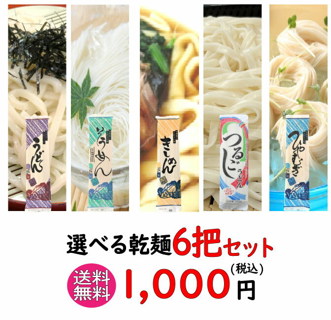 5種（ うどん / きしめん / そうめん / ひやむぎ / つるごしうどん ）から選べる乾麺6把セット 送料無料 メール便 ギフト お試し 保存..