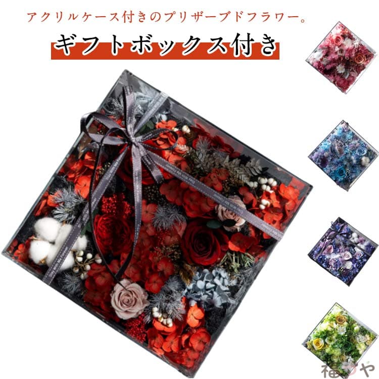 商品画像2