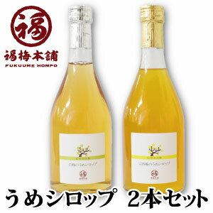 紀州産南高梅使用　うめシロップ　2本入セット（青梅590ml・完熟梅590ml）南高梅にハチミツと砂糖を加え抽出熟成させた清涼飲料水です。4〜5倍に薄めてオリジナルの梅ジュースをお楽しみください。