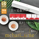 梅干し ギフト プレゼント 内祝い お祝い お返し お礼 梅 はちみつ梅 送料無料 減塩 国産 免疫力アップ 疲労回復 2種類の味を楽しめる!最高級紀州はちみつ...