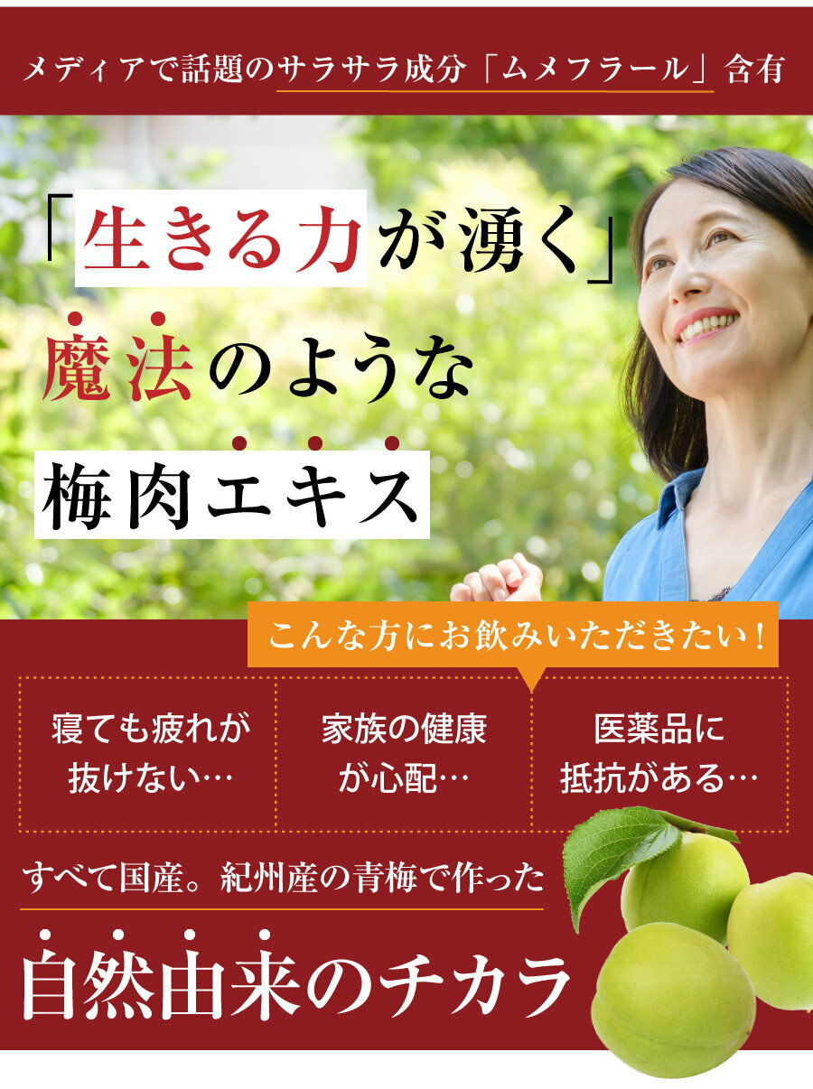 【あす楽15時迄】 梅エキス 梅肉エキス青梅の果汁を煮詰めて作る昔からの梅の健康食品　梅エキス（梅肉エキス）　練状200g