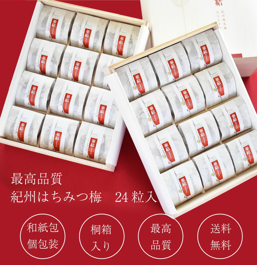 遅れてごめんね 父の日 早割 ギフト 送料無料 梅干し はちみつ梅 減塩 国産 プレゼント 免疫力アップ 疲労回復 グルメ大賞受賞！最高級紀州はちみつ梅【華結（はなむすび）24粒入】