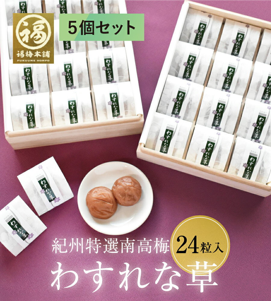 【まとめ買い専用】わすれな草24粒　5個