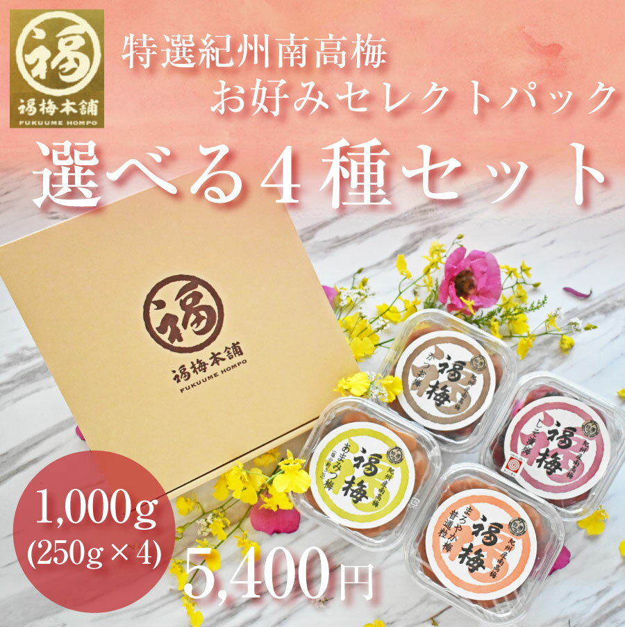 父の日 梅干し ギフト プレゼント 紀州南高梅 梅干し 贈答 はちみつ 減塩 国産 ラッピング 個包装グルメ大賞受賞！和歌山県産 産地直送梅干 お取り寄せ お好みの4パックセット