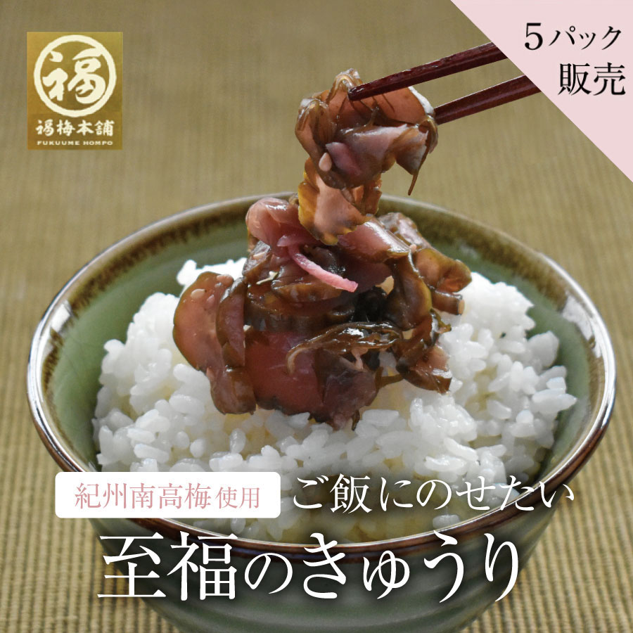 きゅうり 漬け物 国産 ご飯のお供 梅肉 梅干し 【5個まとめ買い】至福のきゅうり100g 【あす楽15時(※土日祝を除く)】