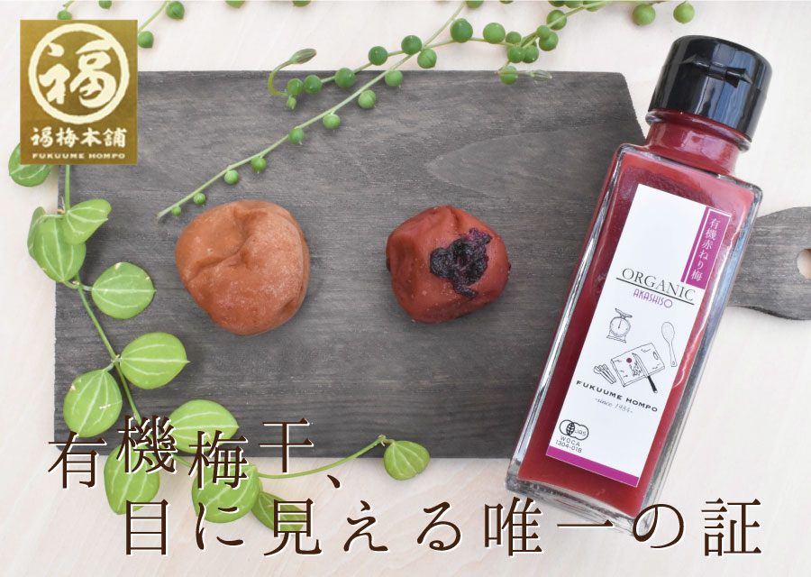 ̵ź  ˥åͭ ̵  ֤ͭͤ AKASHISO SHISO 110g