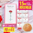 \15時までの注文で 即日発送 / 遅れてごめんね 母の日 プレゼント 食べ物 送料無料 はちみつ梅 梅干し個包装 減塩 国産 ギフト 健康 グルメ 70代最高...