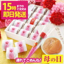 \15時までの注文で 即日発送 / 遅れてごめんね 母の日 プレゼント 食べ物 送料無料 はちみつ梅 梅干し個包装 減塩 国産 ギフト 健康 グルメ 70代累計...