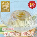【9/4(木)20時〜 1個入66%OFF★お1人様2個限り】 ゼリー 梅干し ギフト プレゼント スイーツ 梅 紀州南高梅 ラッピング 包装 プレゼント 【梅...