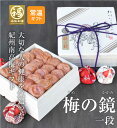母の日 梅干し ギフト プレゼント 内祝い お祝い お返し お礼 梅 送料無料 梅干し はちみつ梅 紀州南高梅 包装 熨斗お味を選べる梅の鏡一段