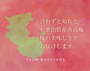 紀州南高梅 梅干し はちみつ ギフト 減塩インフルエンザ予防 お歳暮 まろやか梅（塩分10％）