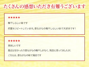 【送料無料】梅干しセット:梅干し:塩と紫蘇だけで漬けた昔ながらの無添加の梅干「しそ漬・福梅ぼし(無選別品)1kg」ご奉仕品【smtb-T】10P23Apr16