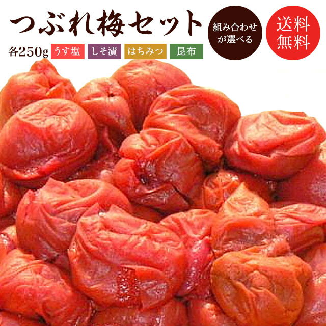 訳あり 梅干し 【送料無料】 つぶれ梅 250g×4個=1kg無添加しそ漬 うす塩 はちみつ こんぶ セット商品 食べ比べ ご飯のお供 福井県産 国産 わけあり バニリン