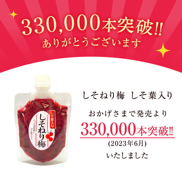 送料無料 無添加ねり梅（しそ葉入）140g 国産梅　国産うめ　ねり梅(練り梅)//調味料/梅干し/しそ梅 お取り寄せ グルメ 2