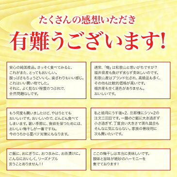 訳あり 梅干し 【送料無料】 つぶれ梅 250g×4個=1kg無添加しそ漬 うす塩 はちみつ こんぶ セット商品 食べ比べ ご飯のお供 福井県産紅映梅 国産 わけあり バニリン