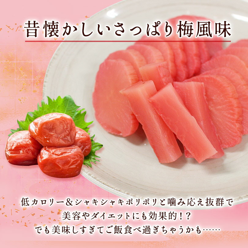 沢庵 たくあん すっぱい 練梅たくあん 1本宮崎県産 国産大根 お漬物 ご飯のお供 食品 お取り寄せ グルメ 2