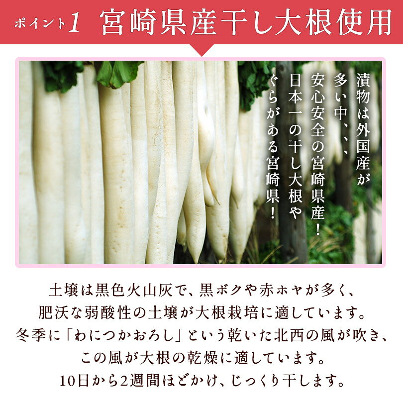 沢庵 たくあん すっぱい 練梅たくあん 1本宮崎県産 国産大根 お漬物 ご飯のお供 食品 お取り寄せ グルメ 3