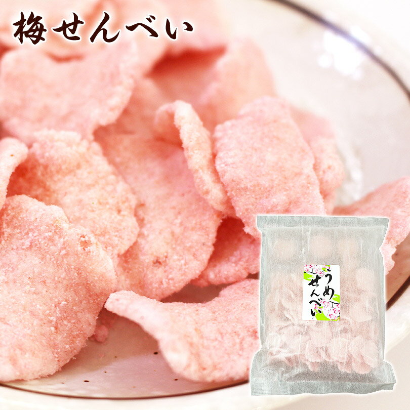 うめせんべい 54g入 梅 ウメ お菓子 おつまみ 煎餅 和菓子 お取り寄せ グルメ