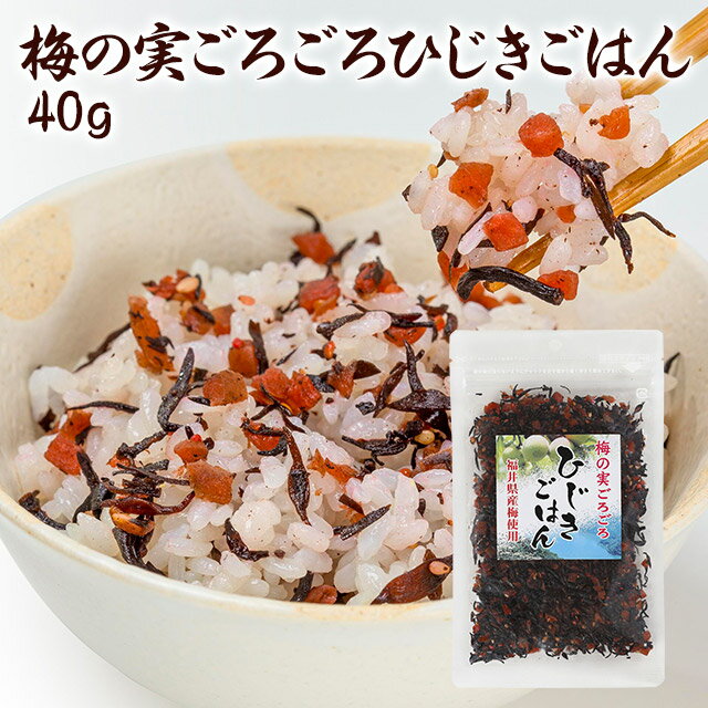 梅の実ごろごろひじきごはん 福井県産梅使用 40g入ふりかけ ごはんのお供 お弁当 おにぎり お取り寄せ グルメのサムネイル