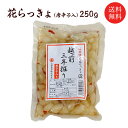 送料無料 福井県産 花らっきょ（唐辛子入)250g 国産 らっきょう 小粒 シャキシャキ ピリ辛 おつまみ 三里浜