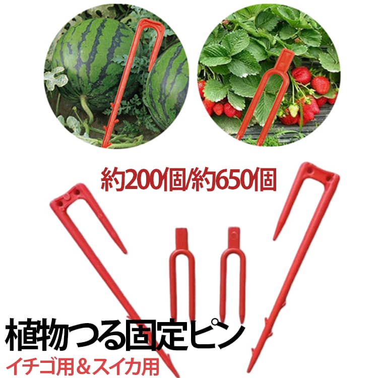 植物のつるや苗をしっかり固定し、生育期間を効果的に調整できます。いちご・スイカ・サツマイモ・ぶどうなど、さまざまな植物に使用できます。耐久性に優れたPP素材を使用しています。 サイズ 0.5キロ サイズについての説明 【サイズ】イチゴ用:0.5キロ/5cm(約650個)スイカ用:0.5キロ/10.7cm(約200個)ご注意：重量基準での販売のため、個数に若干の差異が生じる場合がございます。何卒ご理解のほどお願い申し上げます。 素材 【素材】PP素材 色 イチゴ用(約650個) スイカ用(約200個) 備考 ●サイズ詳細等の測り方はスタッフ間で統一、徹底はしておりますが、実寸は商品によって若干の誤差(1cm～3cm )がある場合がございますので、予めご了承ください。 ●製造ロットにより、細部形状の違いや、同色でも色味に多少の誤差が生じます。 ●パッケージは改良のため予告なく仕様を変更する場合があります。 ▼商品の色は、撮影時の光や、お客様のモニターの色具合などにより、実際の商品と異なる場合がございます。あらかじめ、ご了承ください。 ▼生地の特性上、やや匂いが強く感じられるものもございます。数日のご使用や陰干しなどで気になる匂いはほとんど感じられなくなります。 ▼同じ商品でも生産時期により形やサイズ、カラーに多少の誤差が生じる場合もございます。 ▼他店舗でも在庫を共有して販売をしている為、受注後欠品となる場合もございます。予め、ご了承お願い申し上げます。 ▼出荷前に全て検品を行っておりますが、万が一商品に不具合があった場合は、お問い合わせフォームまたはメールよりご連絡頂けます様お願い申し上げます。速やかに対応致しますのでご安心ください。