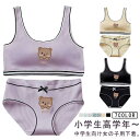 女の子 ジュニアブラ インナー ダンス カップ付き 高学年 子供 キッズブラ ブラジャー ノンワイヤー インナー 送料無料 スポーツブラ ハーフトップ シンプル...