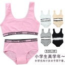 ジュニアブラジャー 上下セット 2点セット ショーツ ブラ キッズ 下着セット ブラジャー カップ付き 女の子 パンツ インナー アンダーウェア ジュニアブラ ...