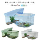 亀 水槽 ケース カメ 飼育ケース 大空間 ボックス 亀の水槽 蓋付き 両生類 カメの楽園 日向ぼっこ台 お手入れ簡単 分離式 ミドリガメ クサガメ スッポン ...