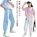 子供服 女の子 男の子 夏服 セットアップ キッズ 半袖 tシャツ ロングパンツ 長ズボン 子供ジャージ 上下セット 韓国子供服 パンツセット ボトムス こども服 ジュニア ベビー服 中学生 おしゃれ 可愛い 薄手 涼しい 120 130 140 150 160 170 送料無料