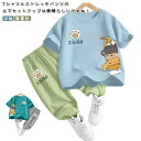 子供服 ジャージ セットアップ スポーツウェア 上下セット キッズ 女の子 男の子 トップス ボトムス 半袖 ロングパンツ 夏春秋 ズボン 運動着 トレーニングウェア 通学 薄手 アイスシルク 涼しい こども服 ジュニア 部屋着 90 100 110 120 130 140 150 送料無料