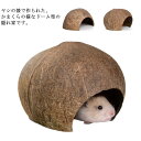 ハムスターハウス ハウス お家 寝床 隠れ家 円形 ハムスター用 ハムスター 夏対策 ハウス おへや 夏 隠れ家 インテリア 可愛い 洗える 小動物 ハムスター 面白い インスタ映え 小物入れ 飼育 かわいい プレゼント ギフト(4)