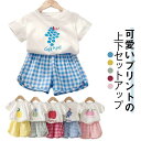 赤ちゃん 半ズボン 子供服 ベビー服 キッズ コットン 上下セット お出かけ 半袖 女の子 ショートパンツ セットアップ 果物 おしゃれ 夏 短パン 綿 シンプル フルーツ チェック柄 Tシャツ 薄手 保育園 幼稚園 部屋着 出産祝い 男の子