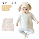 ベビーベスト コットン 綿 赤ちゃん ベスト 前開きベスト ストレット 新生児 ベビー服 トップス 子供服 ベビー インナータンク 上着 袖なし 送料無料 出産...